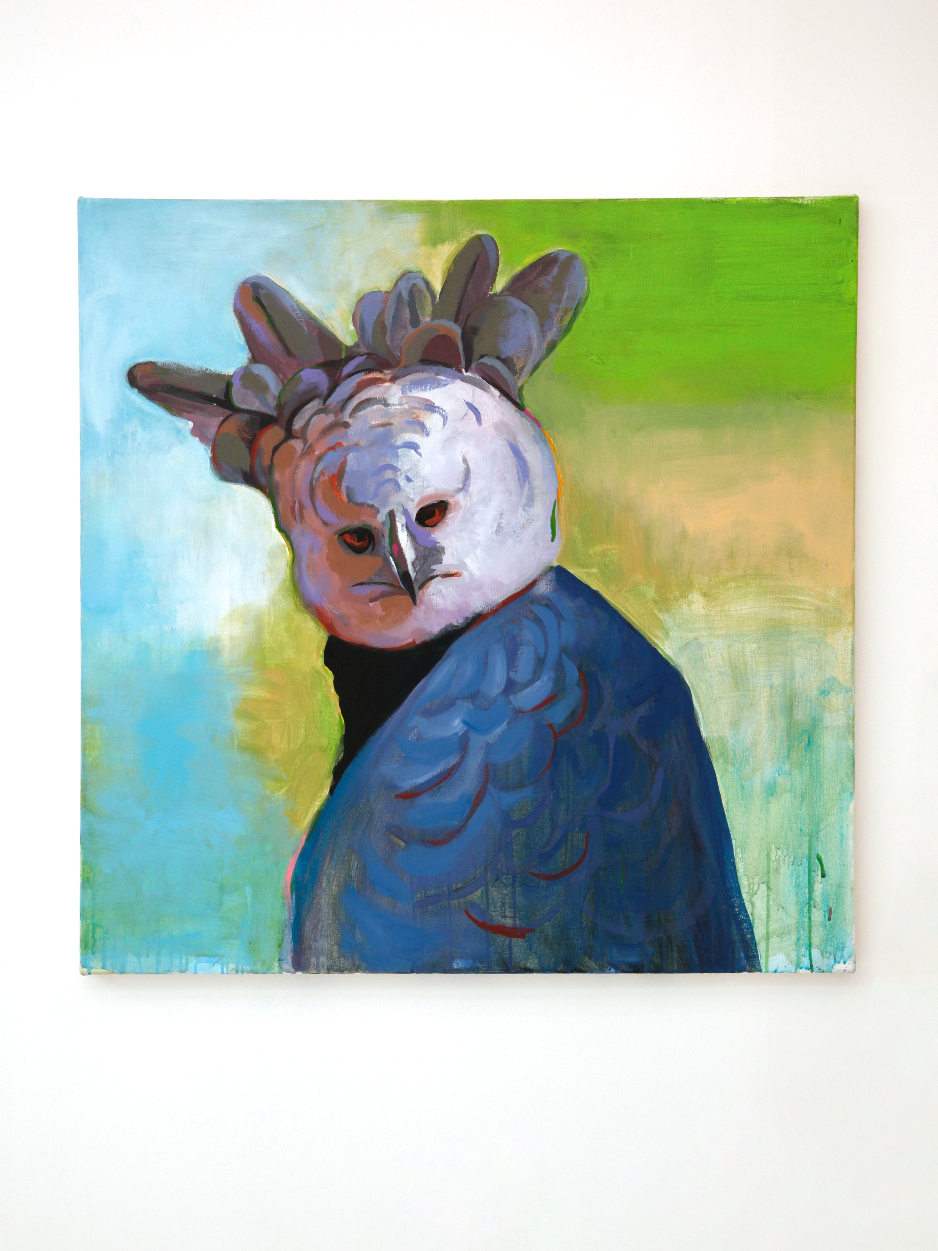 Harpey Eagle