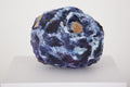 Bleuet
