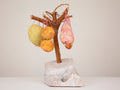 Fruit Tree