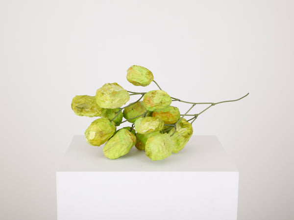 Grape Bunch